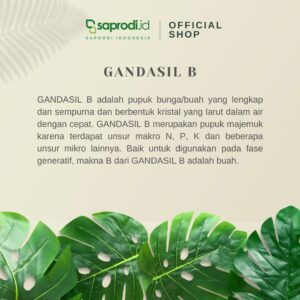 Pupuk Daun Gandasil 100 gram 3