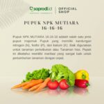 NPK Mutiara 161616 2