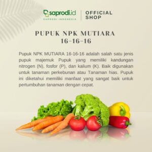 NPK Mutiara 161616 2