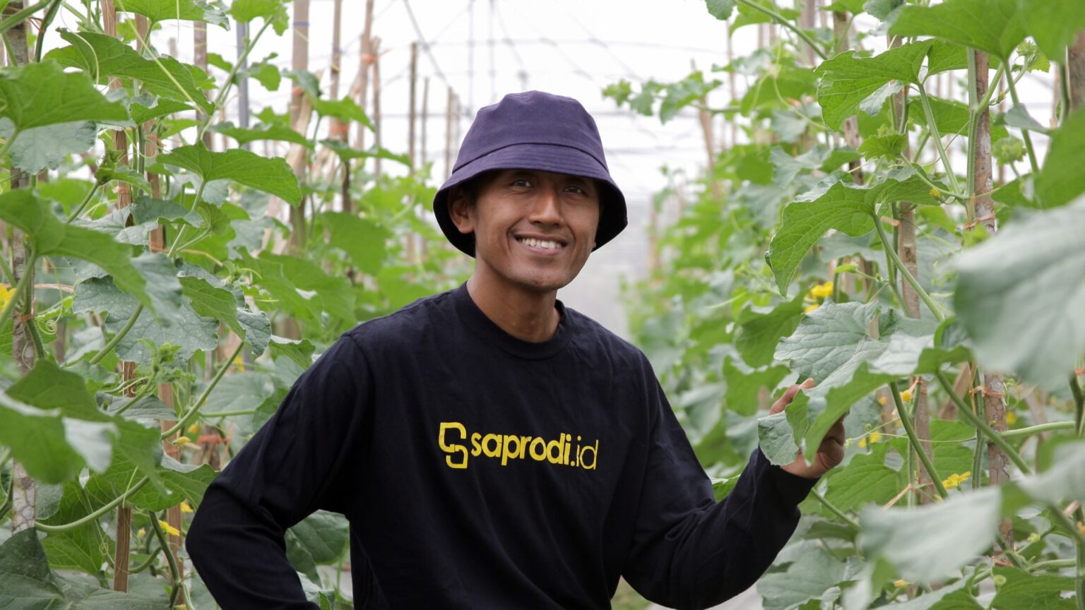 Jasa Pembuatan Greenhouse Saprodi Indonesia 2