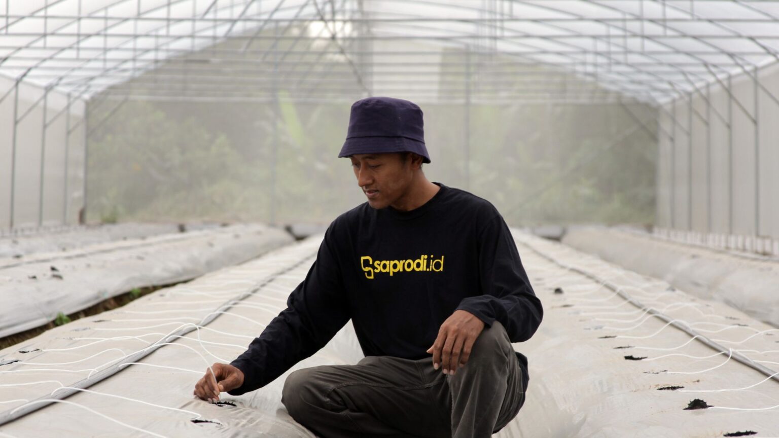 Jasa Pembuatan Greenhouse Saprodi Indonesia 4